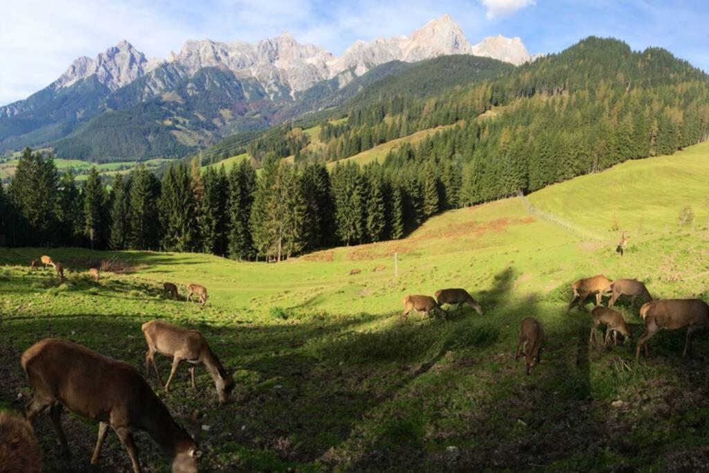 Sunny Apartment Maria Alm Buitenkant foto